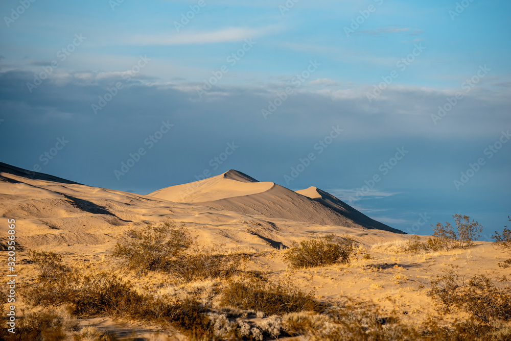 Sand Dunes of Mojave National Preserve