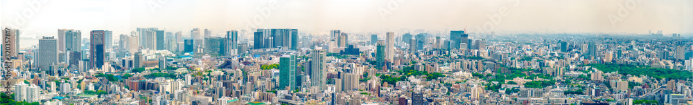 Tokyo city panorama from Mori Tower
