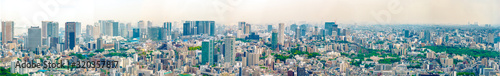 Tokyo city panorama from Mori Tower