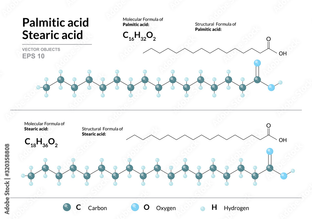 Vettoriale Stock Palmitic and Stearic acids. Hexadecenoic and ...