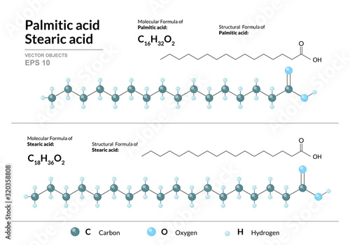 Palmitic and Stearic acids. Hexadecenoic and Octadecanoic Acids. Structural chemical formula and molecule 3d model. Atoms with color coding. Vector illustration