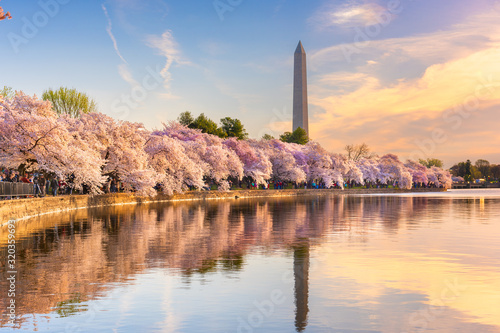 Фотография Washington DC, USA at the tidal basin with Washington Monument in spring season