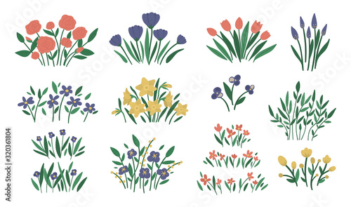 Vector illustration of different flower arrangements. Garden decorative plants bouquets. Collection of beautiful spring and summer herbs and flowers..