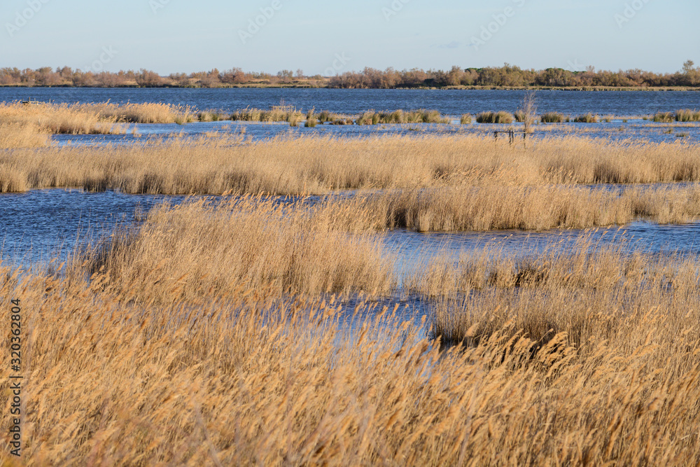 Paysage de Camargue Paysage de Camargue