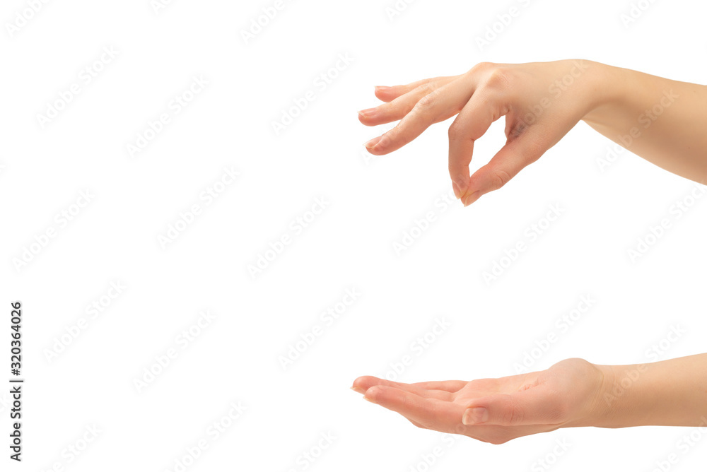 Hand of woman isolated on white Hand of woman isolated on white
