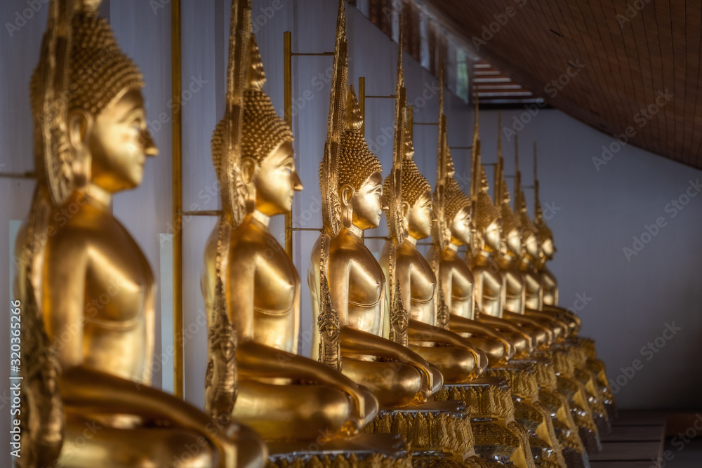 Fototapeta premium buddha statue in thai temple