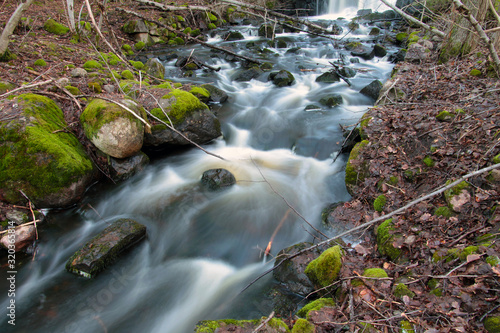 Photographs at a stream in the forest in Sweden