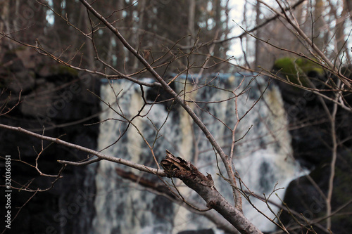 Photographs at a stream in the forest in Sweden