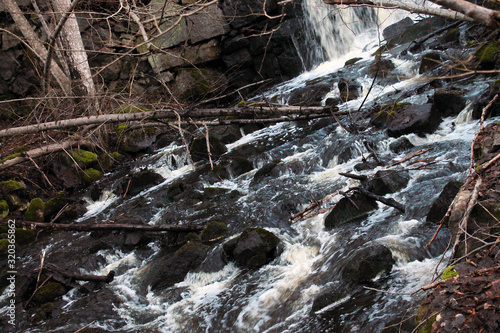 Photographs at a stream in the forest in Sweden