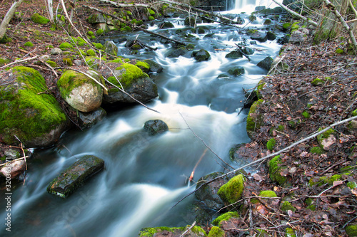 Photographs at a stream in the forest in Sweden