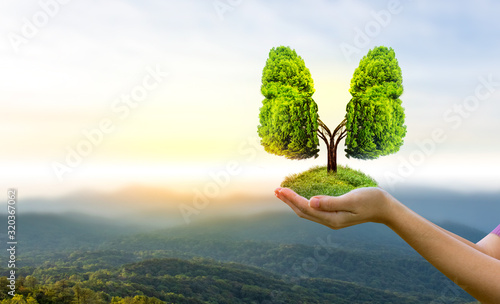 Fotografi Lung green tree-shaped images, medical concepts, autopsy, 3D display and animals