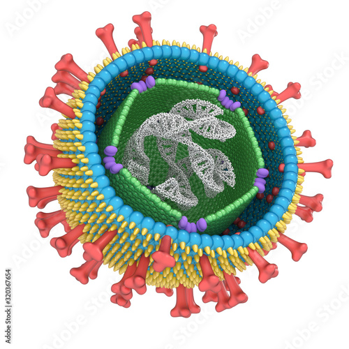 Macro model of coronovirus. 3d illustration photo