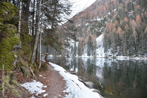 Winter, Eis, Schnee, Eisdecke, zugefroren, gefroren, Weg, spazieren, zugefroren, Tristacher See, Trsistachersee, glatt, Luftblasen, Baum, Wald, Reif, Schnee, Rauchkofel, Ufer, Eisdicke, dicke, gefrier photo