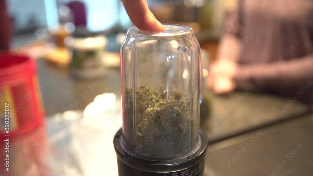 Grinding and crushing of dried marijuana buds and leaves in a grinder mixer.Slow motion. Grinding and crushing of dried marijuana buds and leaves in a grinder mixer.Slow motion.