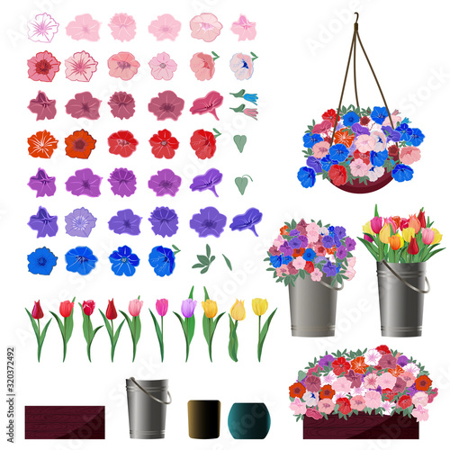 Set of Petunia and Tulip flower buds for making flower arrangements with examples of use in baskets, buckets and pots. Vector illustration in a cartoon,  realistic style isolated on a white background