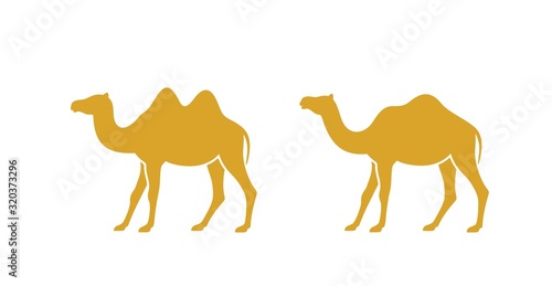 Camel logo. Isolated koala on white background
