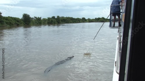 A large chunk of meat is angled over the side of a tour boat on the Adelaide River, Australia in order to entice crocodiles to jump clear of the water.