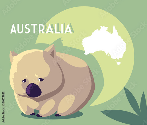 wombat with map of australia in the background
