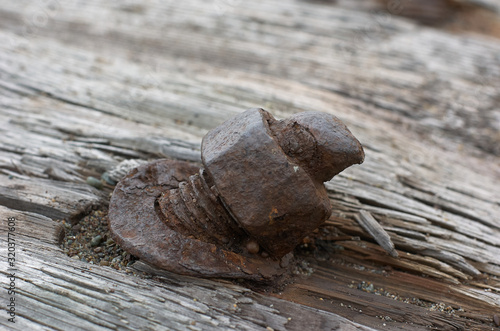 Rusting bolt and nut in weathered wood