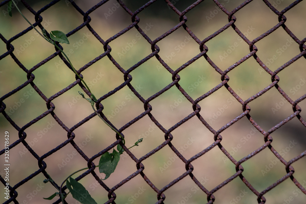 rabitz netting texture background. Fencing metal mesh fence.