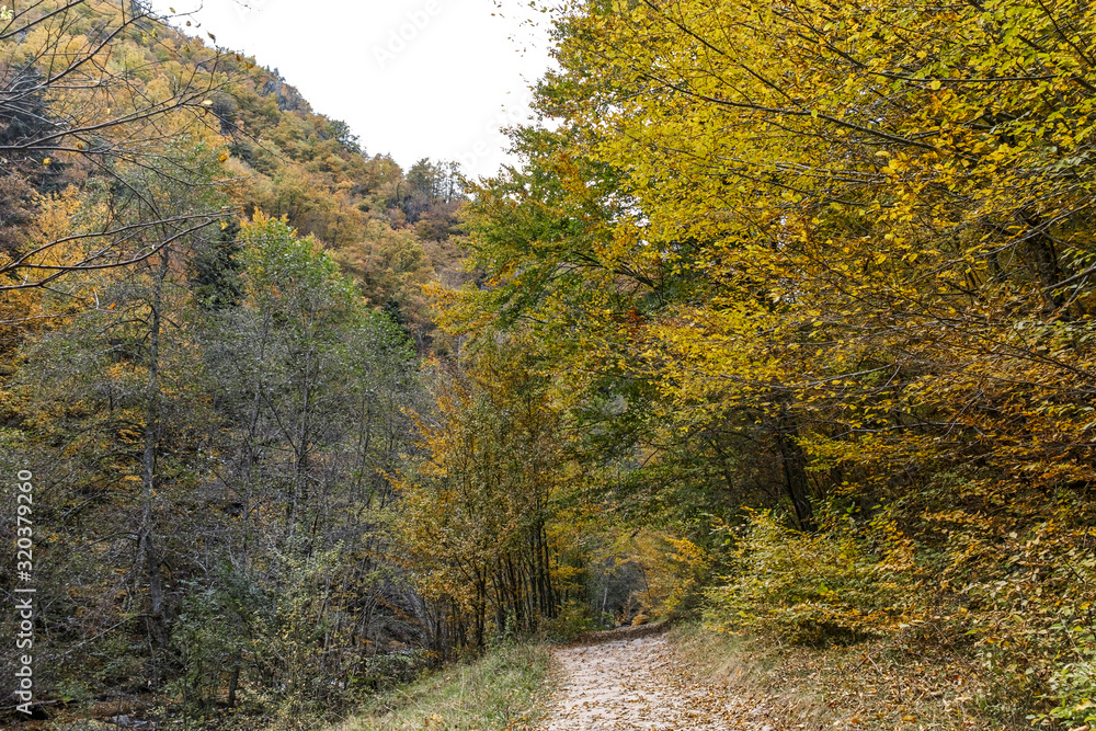 Devin river gorge, Rhodope Mountains, Bulgaria Devin river gorge, Rhodope Mountains, Bulgaria