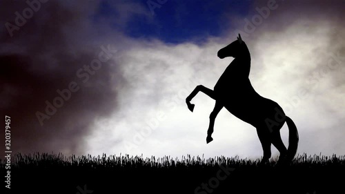 Horse pesade in silhouette against a cloudy sky