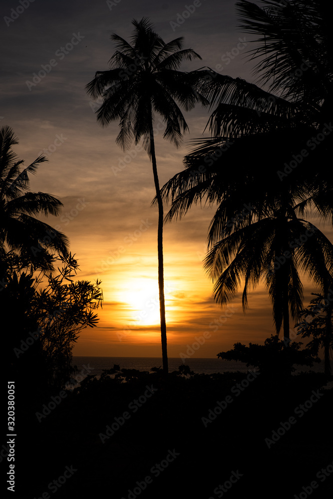 Sunset behind palms in Zanzibar, Tanzania, Africa