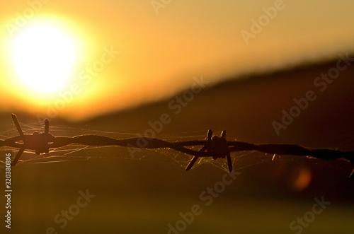 Rusty barbed wire at sunset symbolizing oppression, totalitarianism and war conflict.