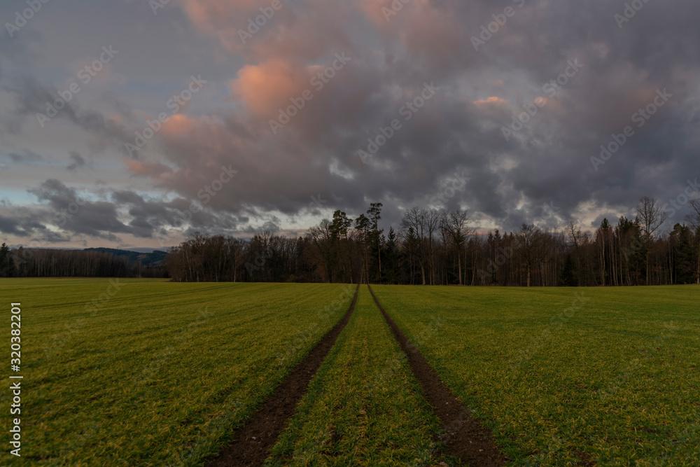 Obraz premium Path in color sunrise on green field near Vyhen village in south Bohemia