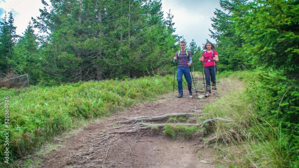 Hikers walking towards camera down dirt footpath in evergreen woodland. Hikers walking towards camera down dirt footpath in evergreen woodland.