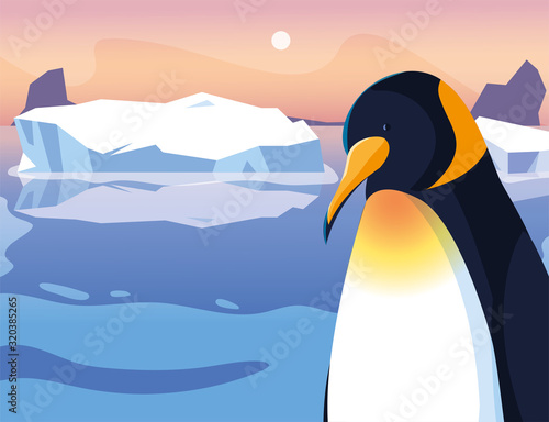 penguin at the north pole, arctic landscape