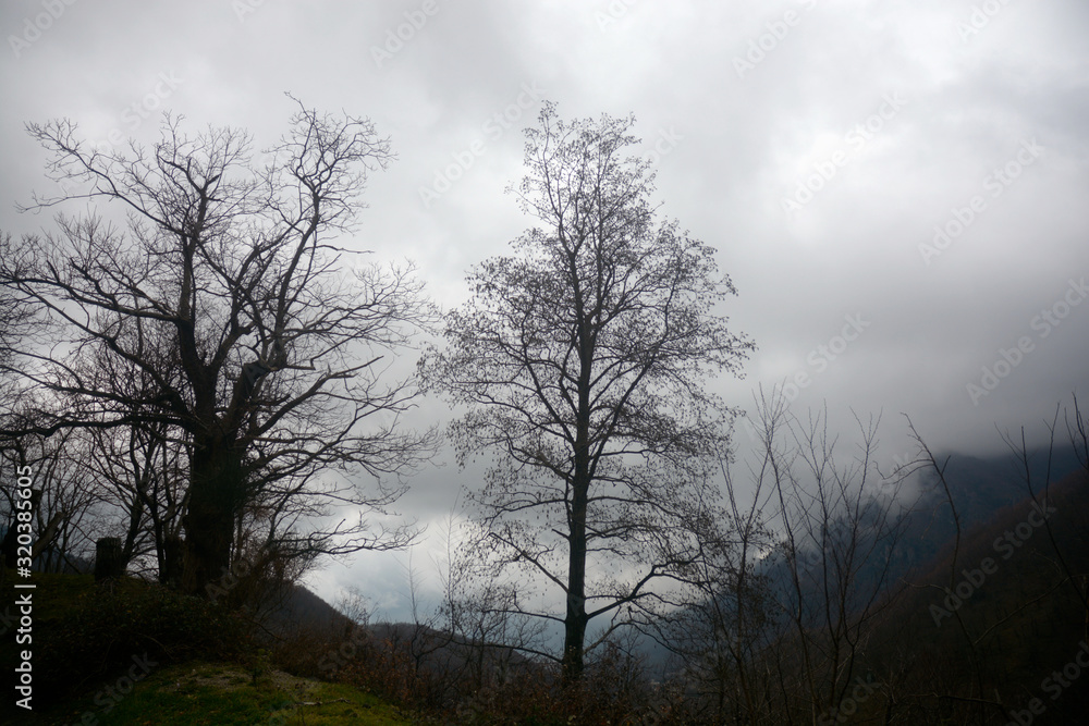 Italia : Paesaggio montano invernale, Gennaio 2020. Italia : Paesaggio montano invernale, Gennaio 2020.