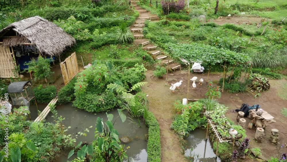 An overview of a calm, serene and harmonious backyard of a farm with small paths along the ponds. Panning left to right. An overview of a calm, serene and harmonious backyard of a farm with small paths along the ponds. Panning left to right.