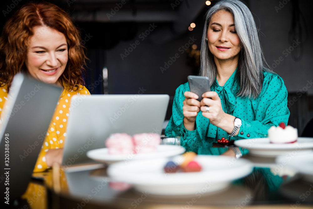 Charming women using laptop and cellphone in cafe Charming women using laptop and cellphone in cafe