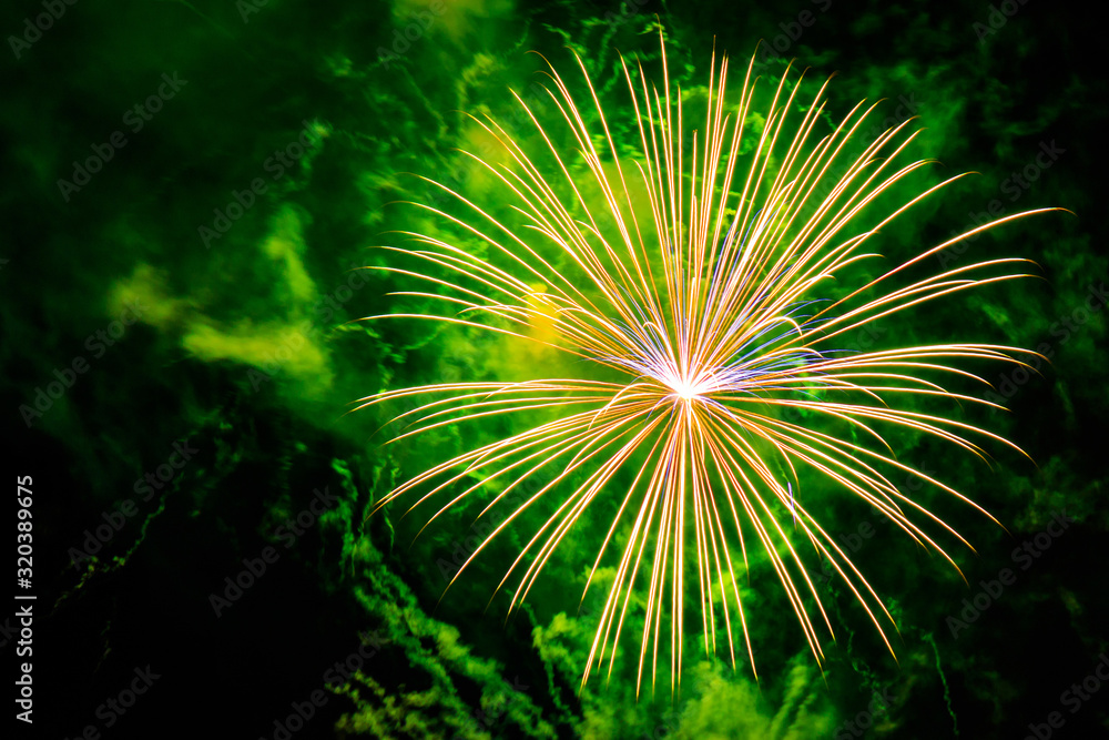 Fototapeta premium Fireworks in the sky