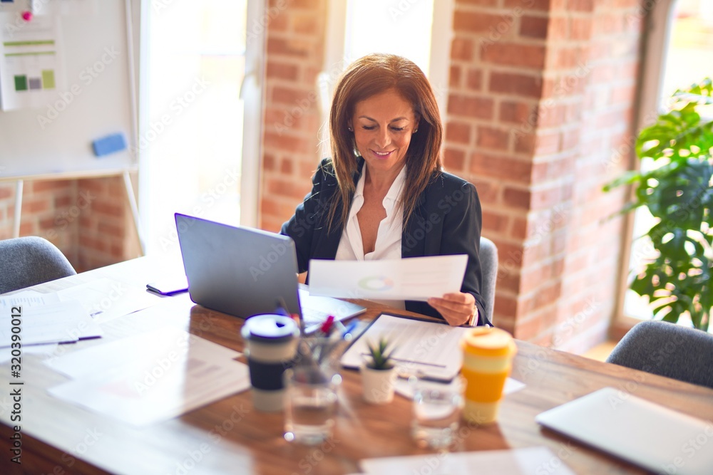 Middle age beautiful businesswoman smiling happy and confident. Sitting on chair working in a desk using laptop at the office Middle age beautiful businesswoman smiling happy and confident. Sitting on chair working in a desk using laptop at the office