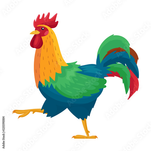 Cock of animal vector icon.Cartoon vector icon isolated on white background cock of animal.