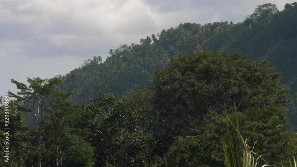 Landscape of Balinese trees and mountains. Landscape of Balinese trees and mountains.