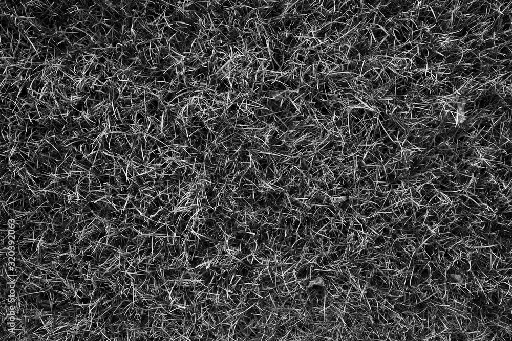 Black background. Cement floor in a dark room with a spotlight. For installation. Black background. Cement floor in a dark room with a spotlight. For installation.