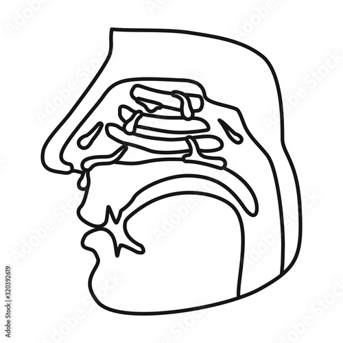 Nasopharynx vector icon.Outline,line vector icon isolated on white background nasopharynx.