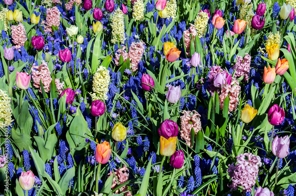 Spring background texture from a variety of colors