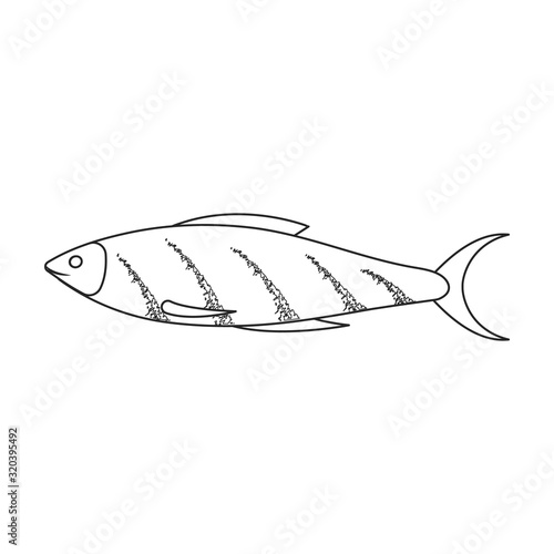 Sea fish vector icon.Outline,line vector icon isolated on white background sea fish.