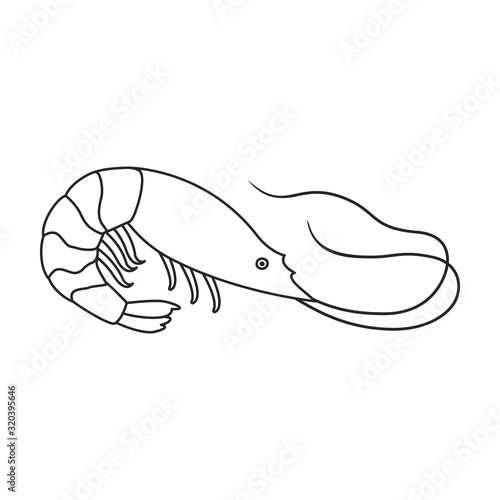 Shrimp vector icon.Outline,line vector icon isolated on white background shrimp .