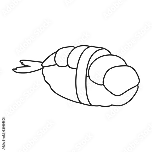 Shrimp vector icon.Outline,line vector icon isolated on white background shrimp .