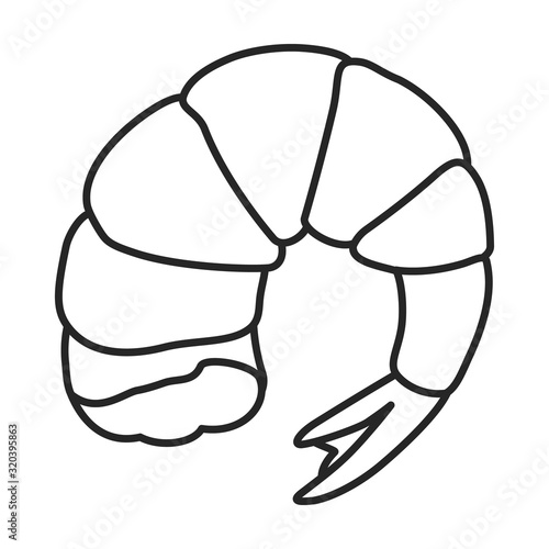 Shrimp vector icon.Outline,line vector icon isolated on white background shrimp .