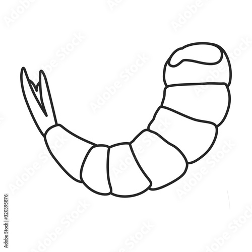 Shrimp vector icon.Outline,line vector icon isolated on white background shrimp .