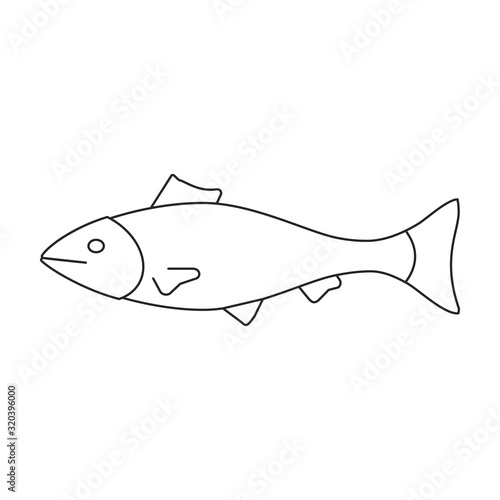 Sea fish vector icon.Outline,line vector icon isolated on white background sea fish.