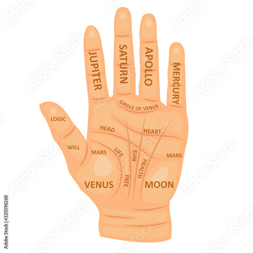 Cartoon Color Human Hand Chiromancy Concept. Vector