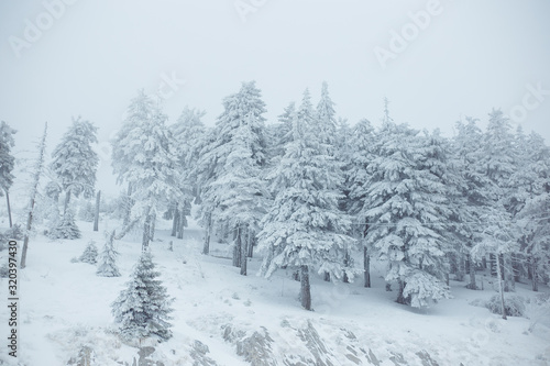 Mountain winter landscape. Beautiful nature and panoramic trees, in mountains.