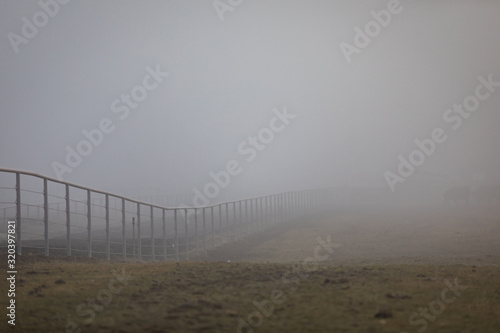 Country farm fence trailing away in fog